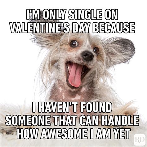 Funny Memes About Valentines Day 2023